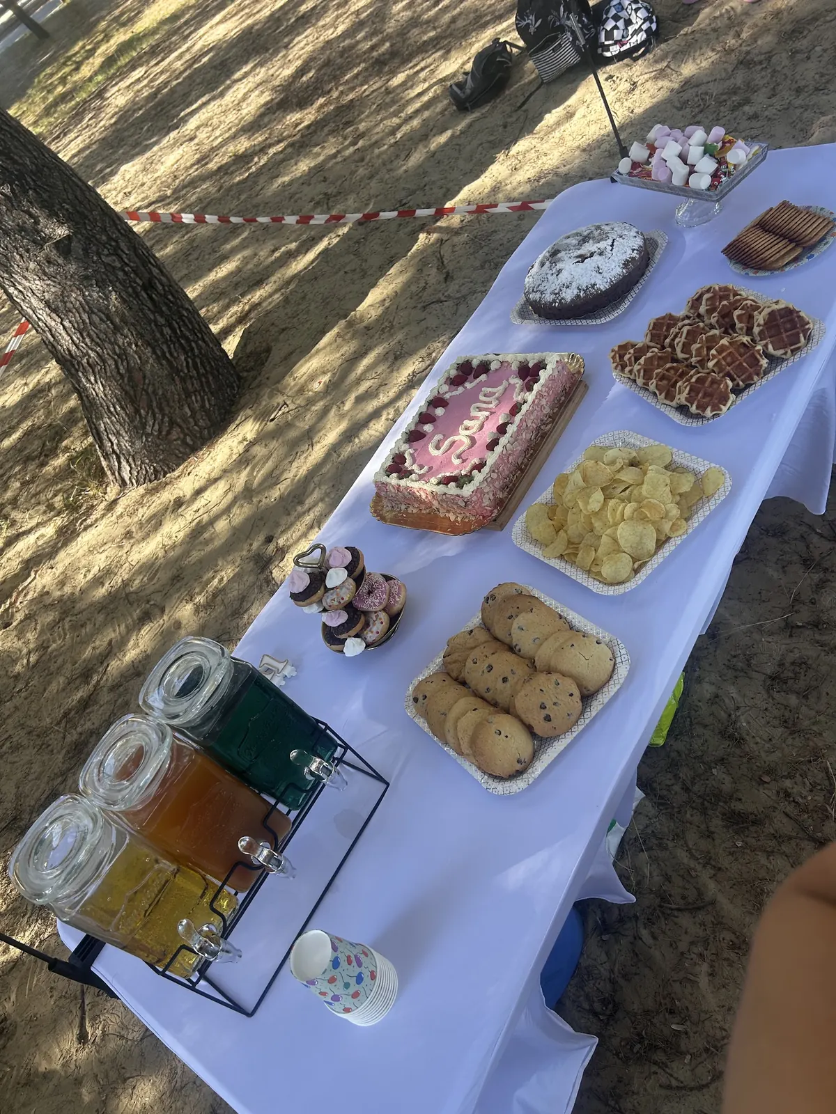 Buffet en plein air sous les pins&nbsp;: gâteau personnalisé, cookies, chips et fontaines de boissons fraîches