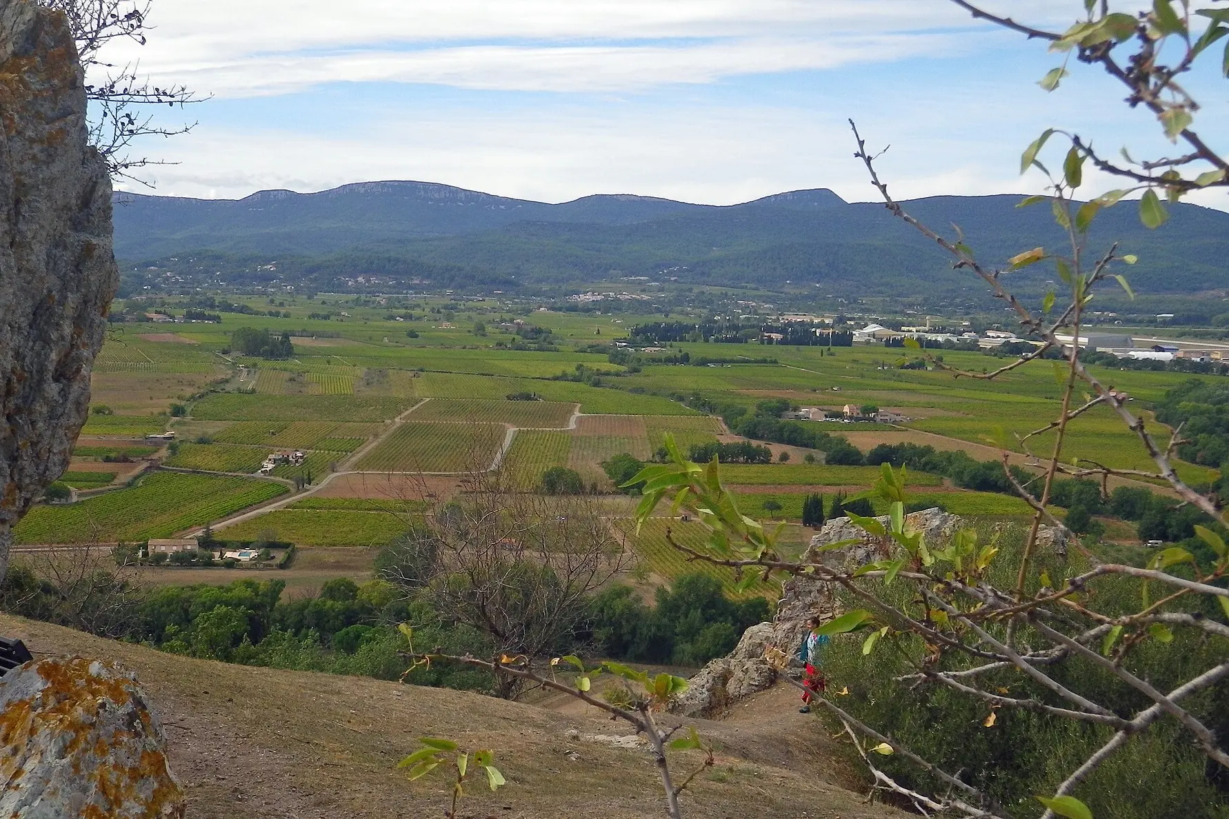 La plaine viticole des Côtes-de-Provence près de Pierrefeu-du-Var